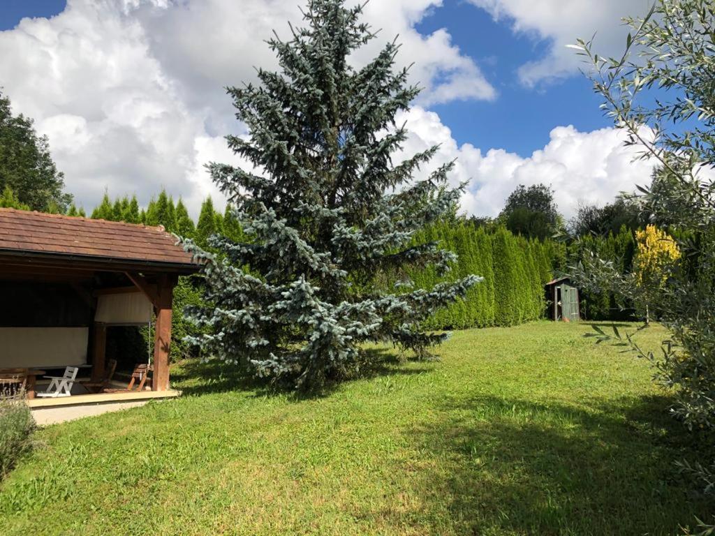 Maison/Gite Familial Dans Le Jura A 200M Du Lac Avec Piscine Privee Marigny  Екстериор снимка