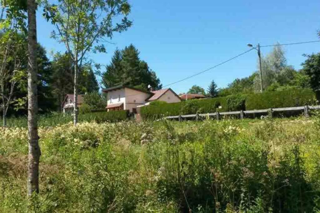 Maison/Gite Familial Dans Le Jura A 200M Du Lac Avec Piscine Privee Marigny  Екстериор снимка