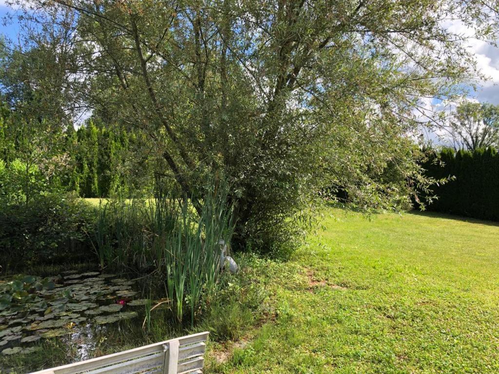 Maison/Gite Familial Dans Le Jura A 200M Du Lac Avec Piscine Privee Marigny  Екстериор снимка