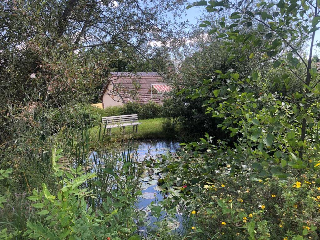 Maison/Gite Familial Dans Le Jura A 200M Du Lac Avec Piscine Privee Marigny  Екстериор снимка